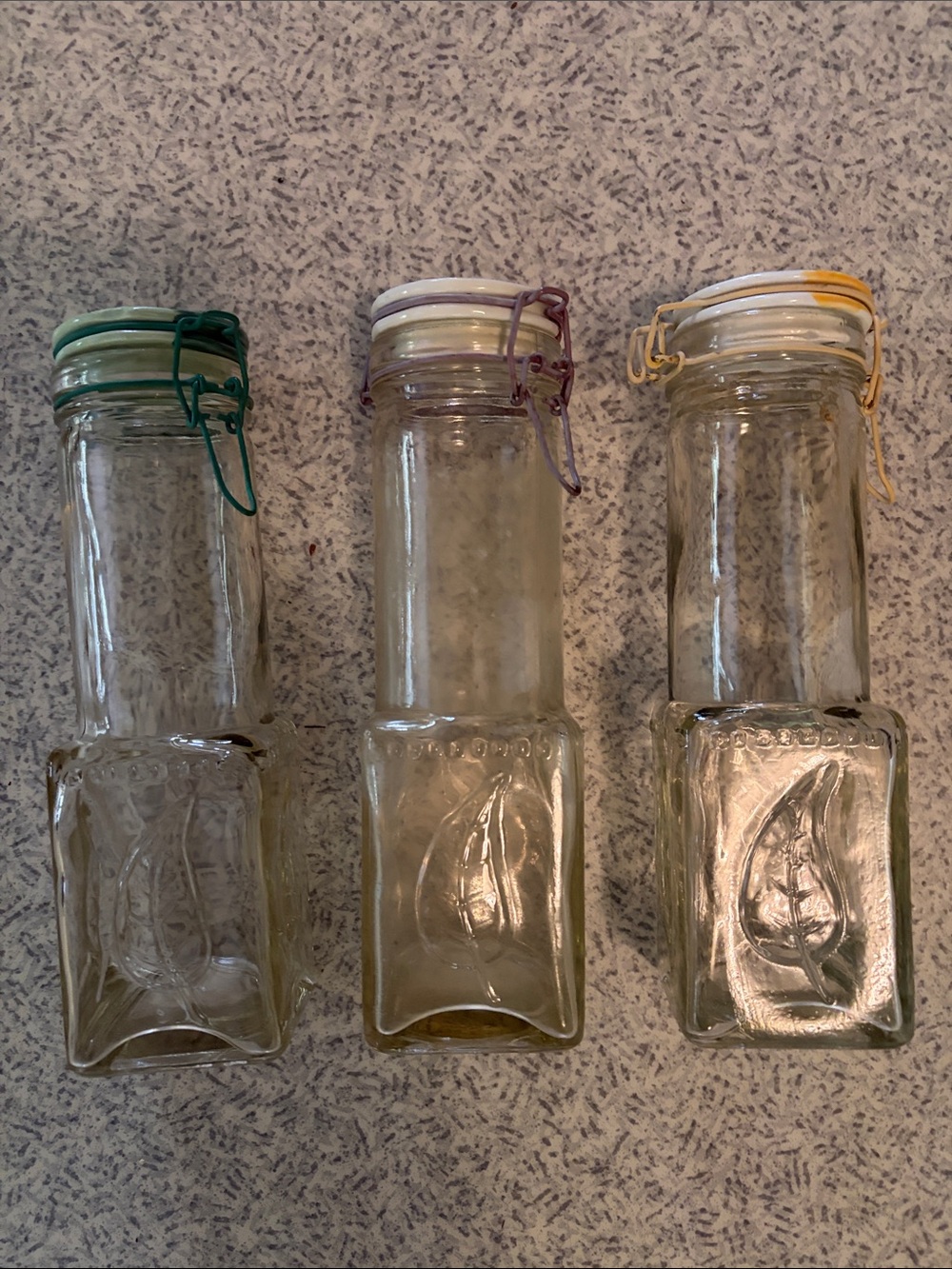 Set of 3 Clear Glass Spice Jars with Colored Clips